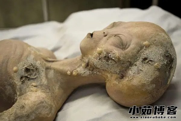 罗斯威尔事件,美国的飞碟坠毁之谜(被美方证实为谣言) — 小茹常识