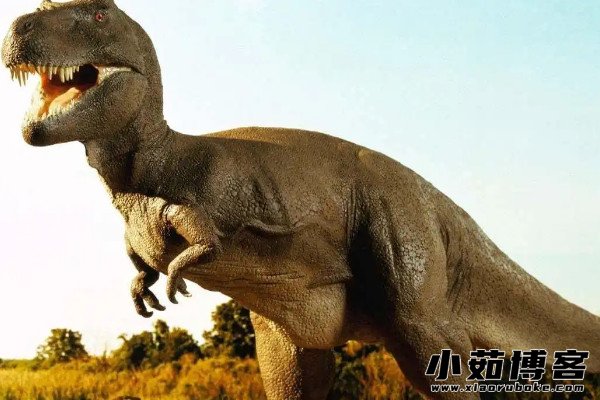 美国发现了一只活恐龙是真的吗