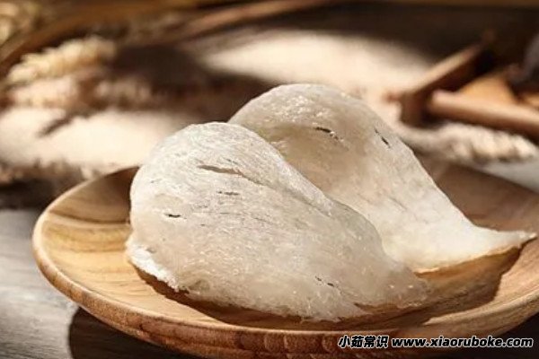天然燕窝价格一斤多少钱2022，市场价2万至3万元一斤(价格与品质有关)-第1张图片-阔酒网