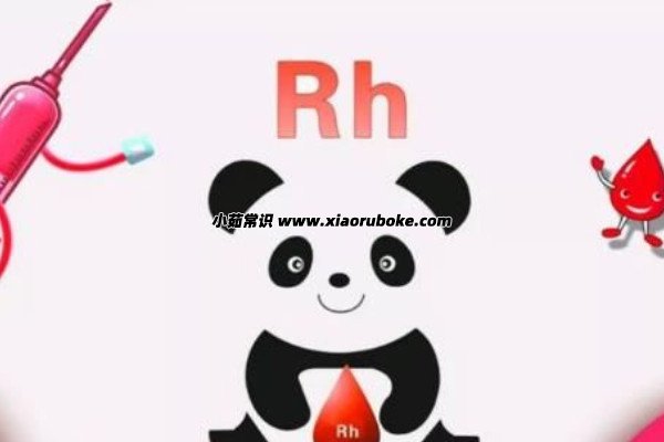 熊猫血是什么血型
