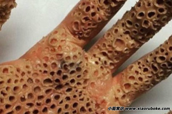 芝麻女孩是真的吗,影片中虚构的故事