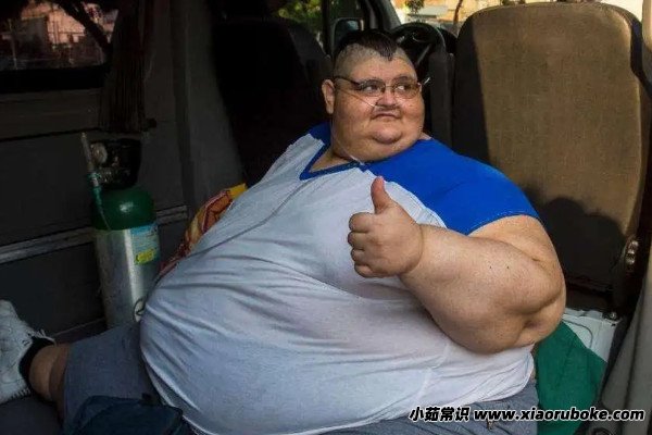 世界上最胖的人盘点世界上最胖的五个人最高体重达1500斤