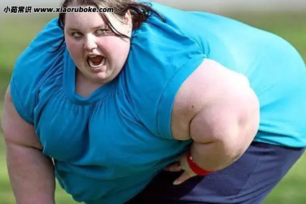 世界上最胖的人盘点世界上最胖的五个人最高体重达1500斤