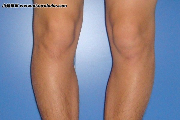世界上最丑的腿图片，世界上最丑的五种腿型-第4张图片-索考网
