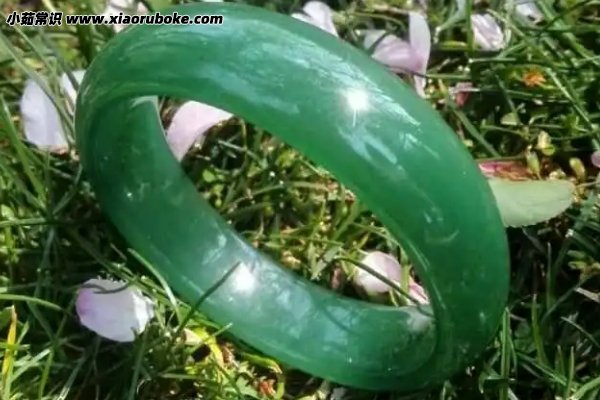 独龙玉是什么玉种，硬玉属于石英质玉(成分外观接近翡翠)-第2张图片-阔酒网