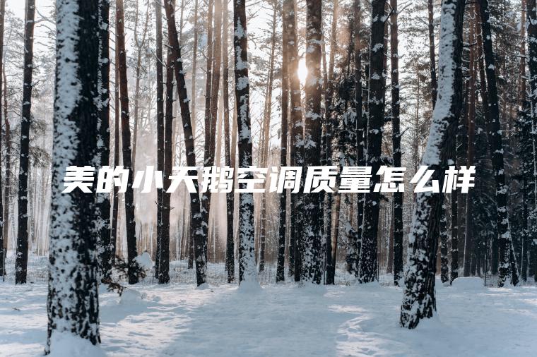 美的小天鹅空调质量怎么样
